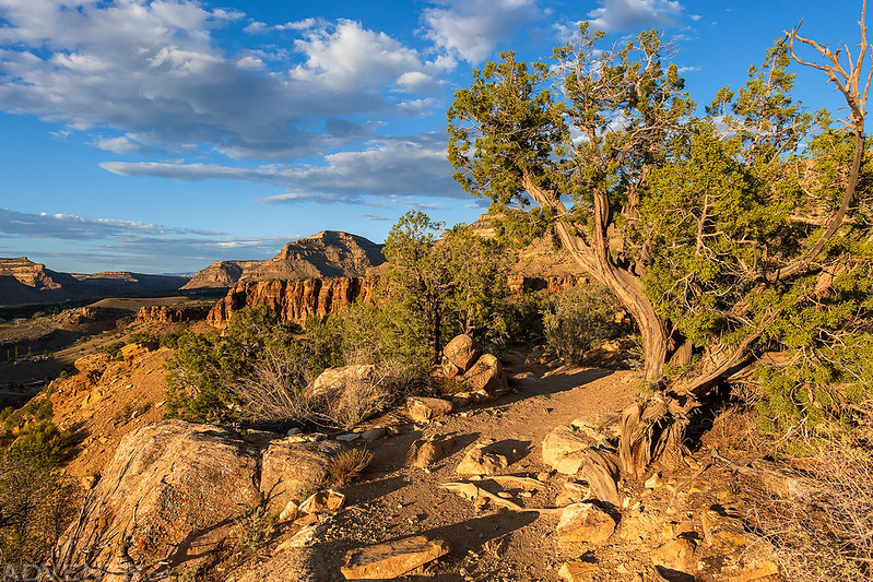 Return Trail