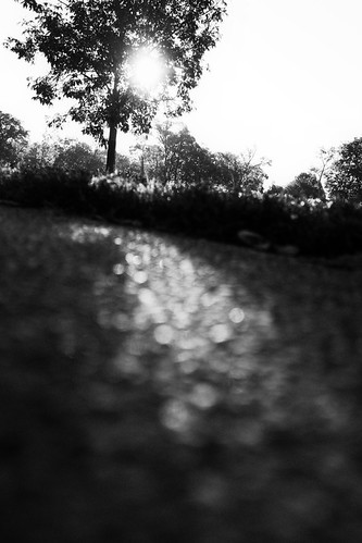 Untitled photograph