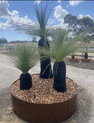 Grass Tree Art