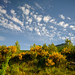 			<p><a href="https://www.flickr.com/people/153638711@N04/">"santiago"</a> posted a photo:</p>
	
<p><a href="https://www.flickr.com/photos/153638711@N04/55574093942/" title="Portland a Sacramento. USA 2025"><img src="https://live.staticflickr.com/65535/55574093942_f46e6da7dc_m.jpg" width="240" height="160" alt="Portland a Sacramento. USA 2025" /></a></p>

<p>Watching the miles roll by without any rush. Rediscovering the pleasure of train travel aboard the Coast Starlight.</p>

