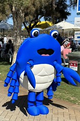 Crab Man
