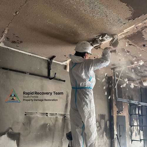 Professional Support for Fire-Damaged Properties
