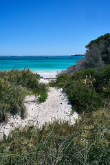Between Dune and Sea