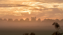 Haarlem Bavo Koepelkathedraal bij een mistige zonsopkomst 7.10.2026
