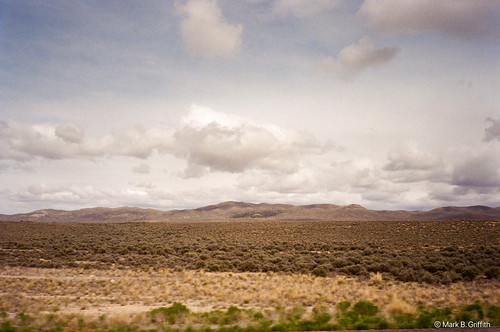 The Wayside