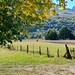 			<p><a href="https://www.flickr.com/people/montenegrina/">ForceMajeureMontenegro</a> posted a photo:</p>
	
<p><a href="https://www.flickr.com/photos/montenegrina/55574642365/" title="Lipovo"><img src="https://live.staticflickr.com/65535/55574642365_89cccbdb3b_m.jpg" width="240" height="135" alt="Lipovo" /></a></p>

<p>Kolašin, Montenegro</p>
