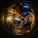 			<p><a href="https://www.flickr.com/people/paradisethrougalens/">Paradise Through a Lens</a> posted a photo:</p>
	
<p><a href="https://www.flickr.com/photos/paradisethrougalens/55574819811/" title="Dali-4"><img src="https://live.staticflickr.com/65535/55574819811_feb7248d64_m.jpg" width="240" height="160" alt="Dali-4" /></a></p>


