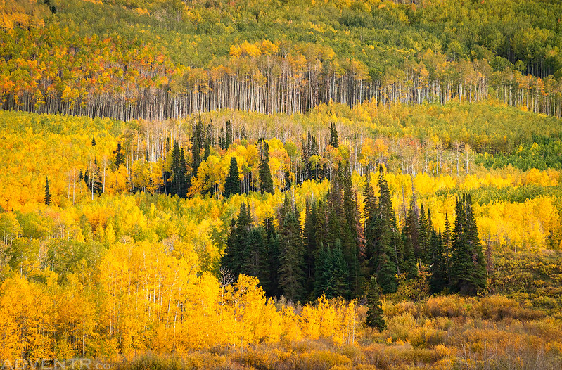 Park Creek Colors