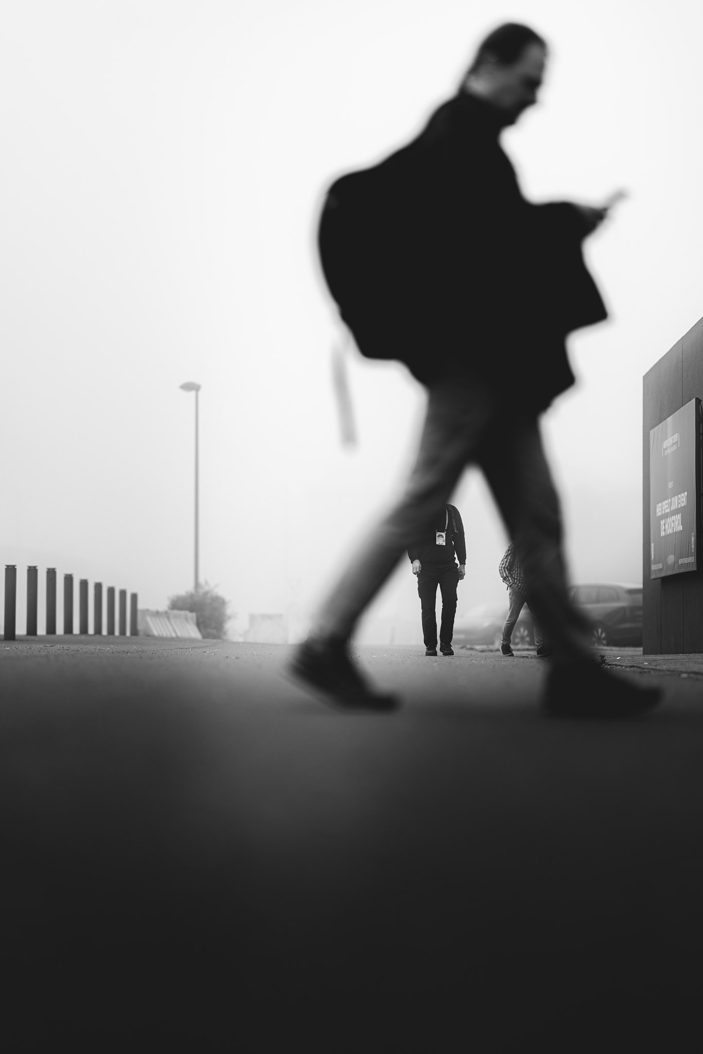 dD_2344