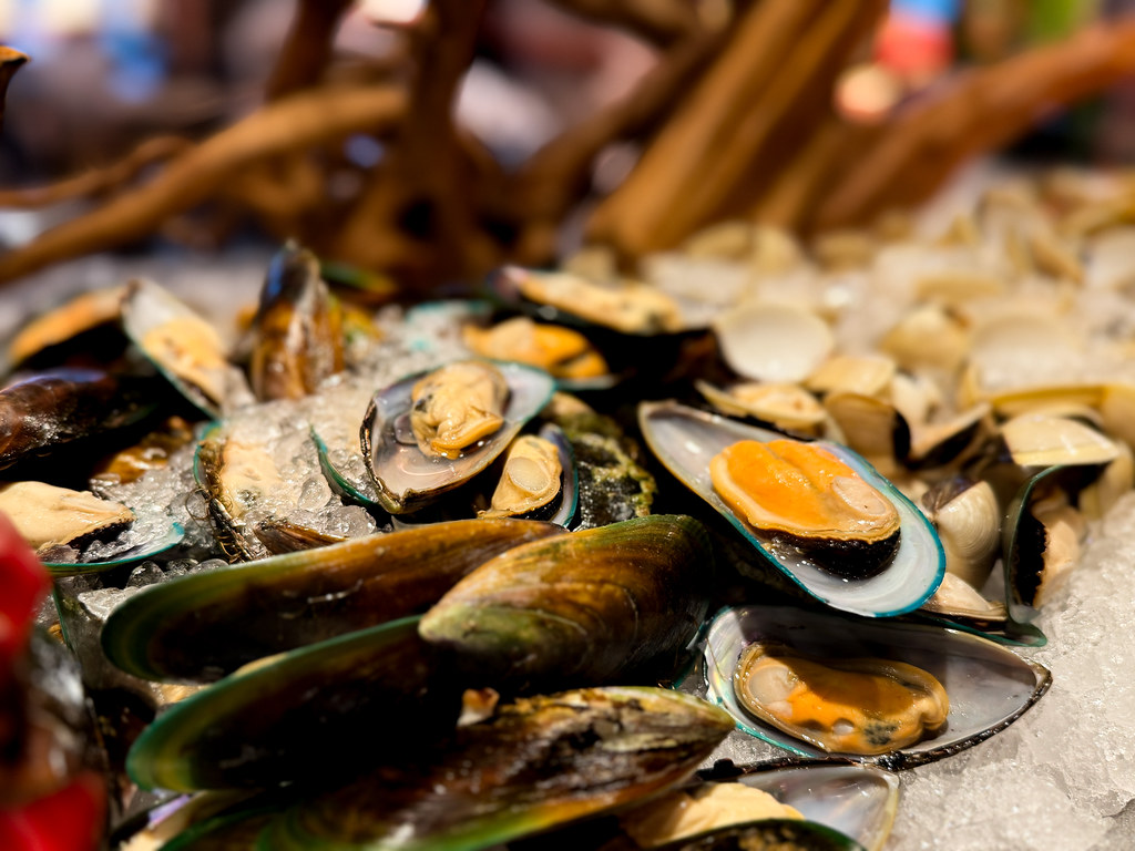 Mussels 2