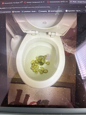 good photo done by my brother from like 2018