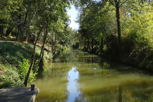 Regarde la vie comme une rivière...