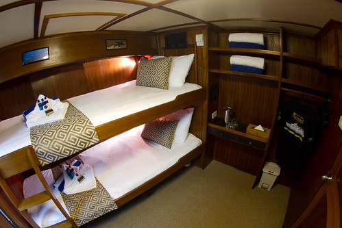 Mermaid II Budget Cabin