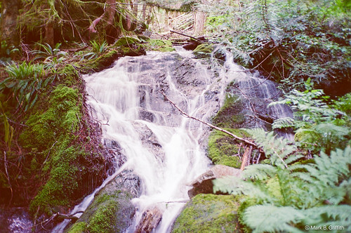 film-olymus-mju-fuji-400-20260810-000086640013_23
