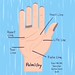 Palmistry Hand Oct 7 Sheri42