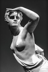 The Lost Pleiad