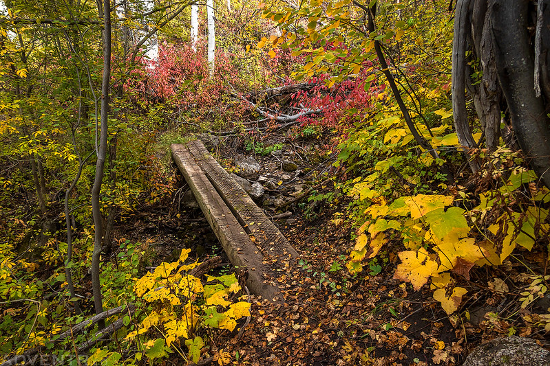 Aspen Nature Trail Bridge