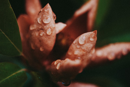 Untitled photograph
