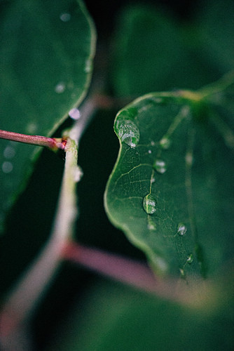 Untitled photograph