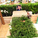 <p><a href="https://www.flickr.com/people/shalva1948/">Shalva1948</a> posted a photo:</p>
<p><a href="https://www.flickr.com/photos/shalva1948/55576268529/" title="Their memory be eternal"><img src="https://live.staticflickr.com/65535/55576268529_2e7948e2d5_m.jpg" width="180" height="240" alt="Their memory be eternal" /></a></p>
<p>The October 7th... Three years have passed since Hamas launched a treacherous attack on the State of Israel, ravaging the communities along the Gaza border. They slaughtered more than 1,200 civilians, sparing neither children nor the elderly. This war is not yet over.<br />
Today, I visited the military cemetery in Jerusalem to pay tribute to the memory of the soldiers who fell in the war. They gave their lives to defend their homeland and save the nation. May their memory be eternal.</p>