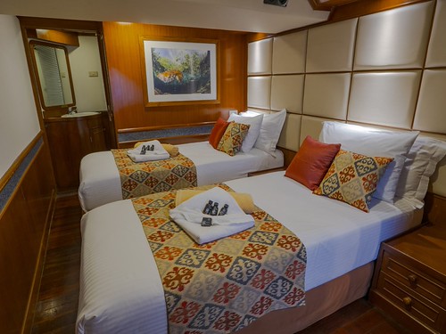 Deluxe Cabin Twin