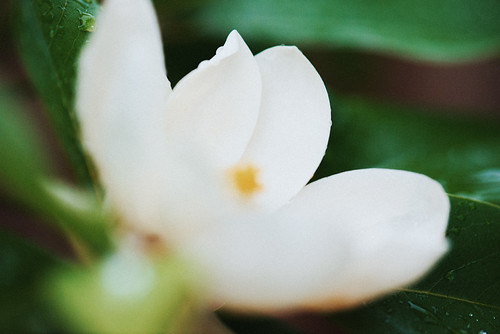 Untitled photograph