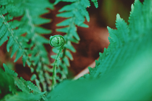 Untitled photograph