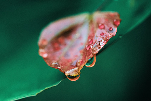 Untitled photograph