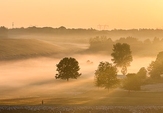 Flickr photo: Sunrise in the Fog — A Magical Morning