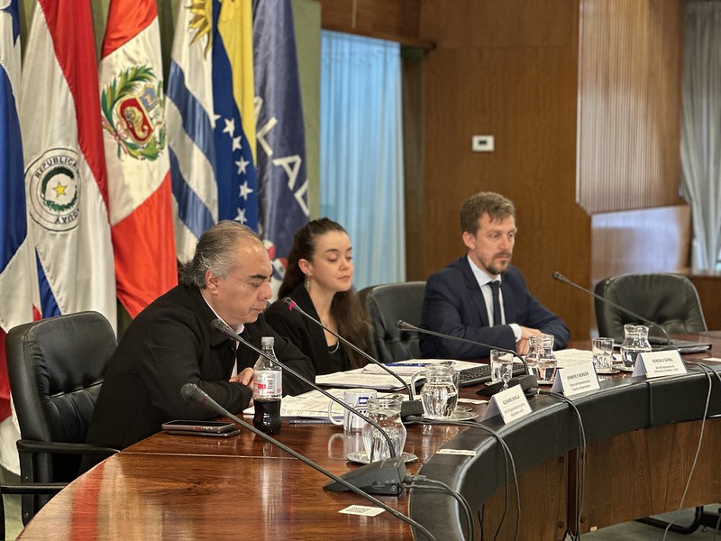 RECOMEX: Reunión Técnica de Oficinas Gubernamentales