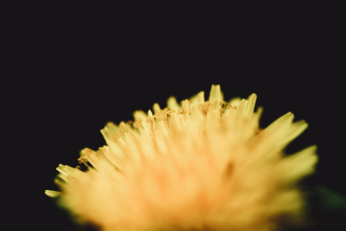 Untitled photograph
