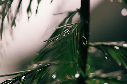 Untitled photograph