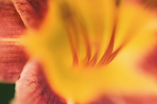 Untitled photograph