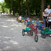 Parma Street Walking - Push Pedal Reverie