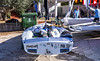 6Q3A1949 - 2026 - Pula FD - nedjelja
