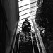 			<p><a href="https://www.flickr.com/people/pascalcolin/">pascalcolin1</a> posted a photo:</p>
	
<p><a href="https://www.flickr.com/photos/pascalcolin/55577654880/" title="Rising"><img src="https://live.staticflickr.com/65535/55577654880_74aa1e4697_m.jpg" width="160" height="240" alt="Rising" /></a></p>


