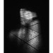 			<p><a href="https://www.flickr.com/people/adammendyk/">adammendyk</a> posted a photo:</p>
	
<p><a href="https://www.flickr.com/photos/adammendyk/55577683103/" title="M1001312"><img src="https://live.staticflickr.com/65535/55577683103_6a3c837c3c_m.jpg" width="168" height="240" alt="M1001312" /></a></p>


