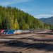 Amtrak 8 Essex