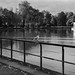 			<p><a href="https://www.flickr.com/people/fbruot/">frederic.bruot</a> posted a photo:</p>
	
<p><a href="https://www.flickr.com/photos/fbruot/55577760025/" title="Du côté de la Porte Dorée"><img src="https://live.staticflickr.com/65535/55577760025_37e9d9652f_m.jpg" width="240" height="160" alt="Du côté de la Porte Dorée" /></a></p>

<p>Le 04/10/2026 avec Brigitte</p>
