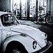 Beetle New York