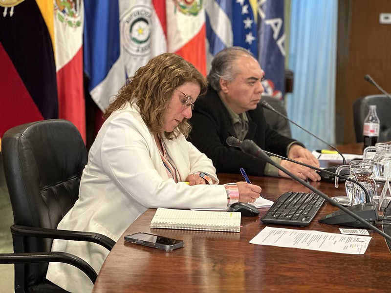 XII Reunión de Funcionarios Gubernamentales Especializados en Estadísticas del Comercio de Servicios