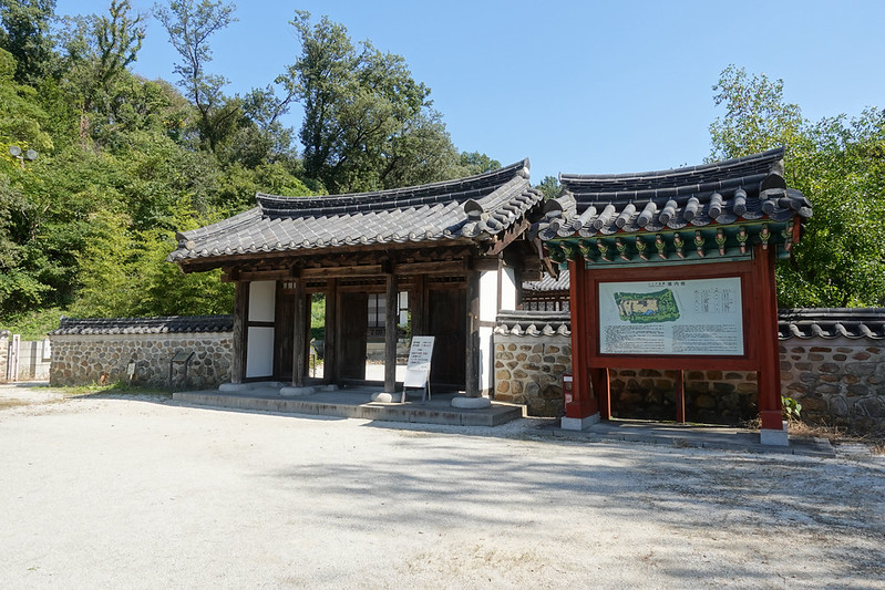 DSC01401