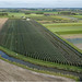 Aerial view showing fruit tree orchard and agricultural fields in South Holland