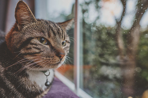 test_24mm_010