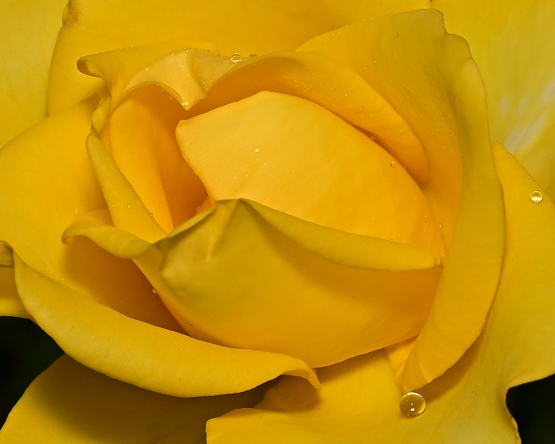 004NZ9_5394_15252.1