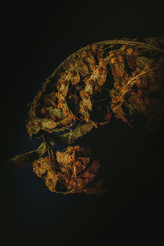 Fall in macro
