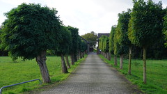 Tour 1449 – Krefeld – Rund um Krefeld – Etappe 4/8 –  Von Willicher Heide nach St. Tönis