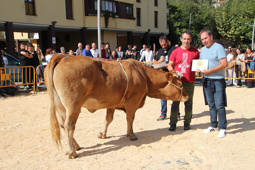 42. Urriko Azoka Nagusia, Markina-Xemein