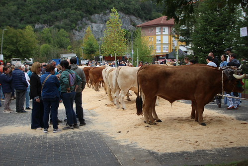 42. Urriko Azoka Nagusia, Markina-Xemein