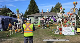 Pickford Rd Halloween Skeletons
